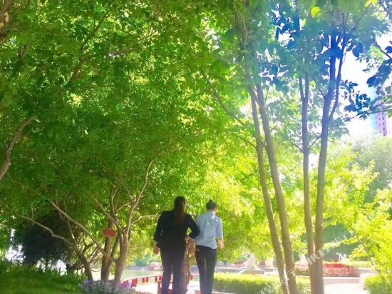 伊犁回到温馨的家公寓(全球荣会所分店)