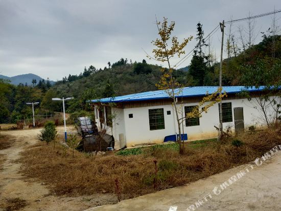 南雄醉美杏园开心农庄