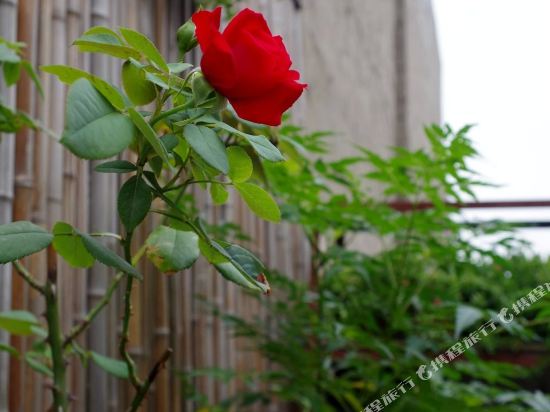 西安秦调青年旅舍