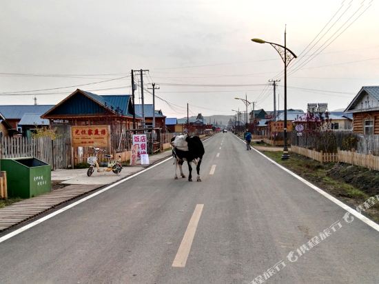 额尔古纳恩和孙金花旅游之家木屋