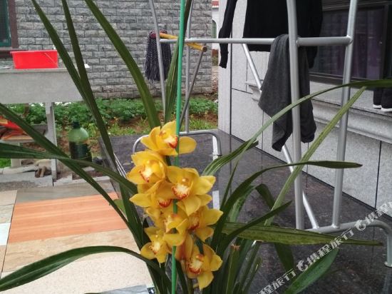 象山熙悦春天客栈