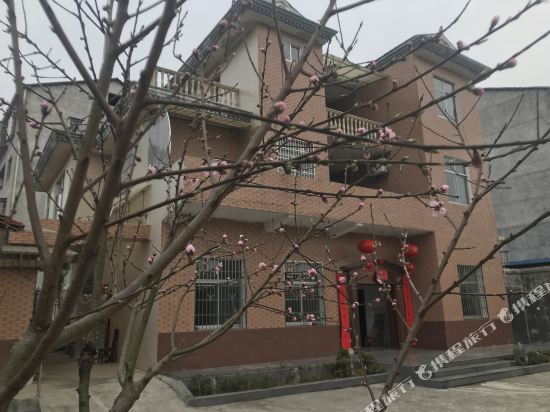 岳阳报喜鸟民宿