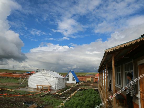 额尔古纳七月青年旅舍