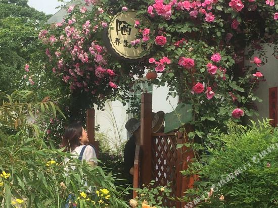 宜兴陋室养生民宿