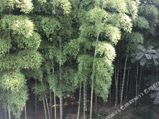 溧阳森林农家乐