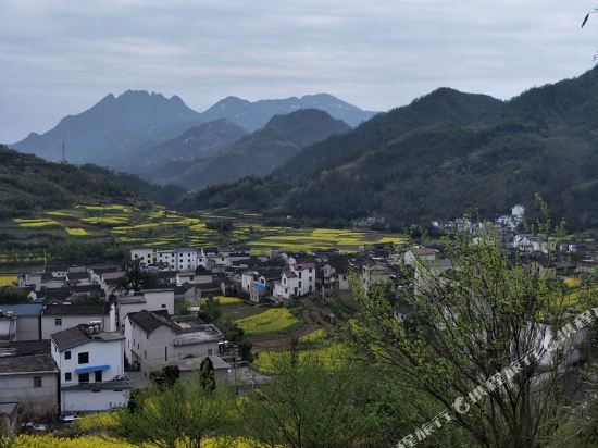 金川山庄客栈(绩溪吟泉街店)