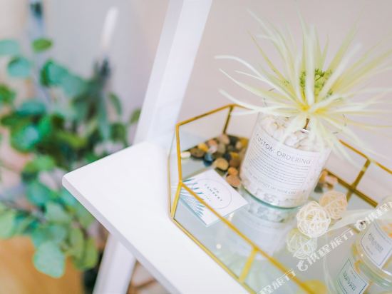 宁波七只猫的王点点公寓