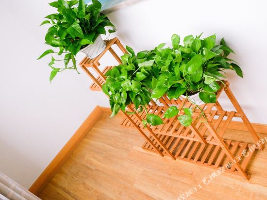 江阴在田里的小西瓜公寓