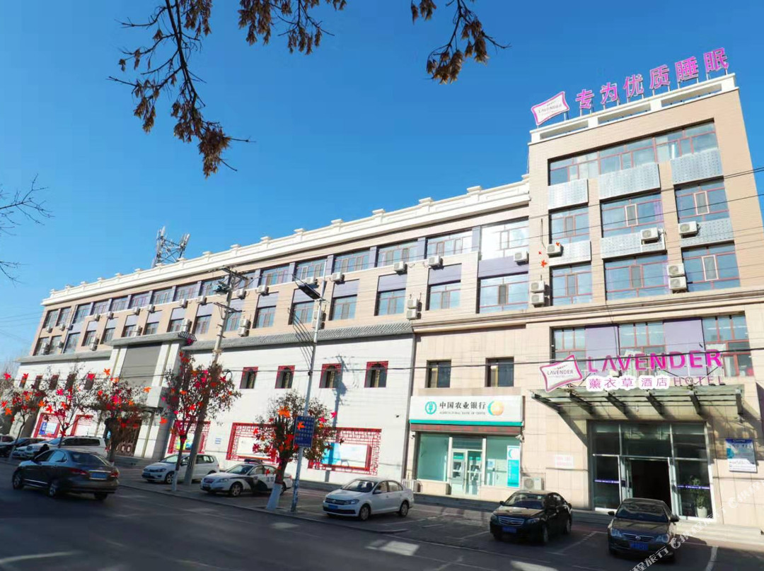 薰衣草酒店(镇赉店)