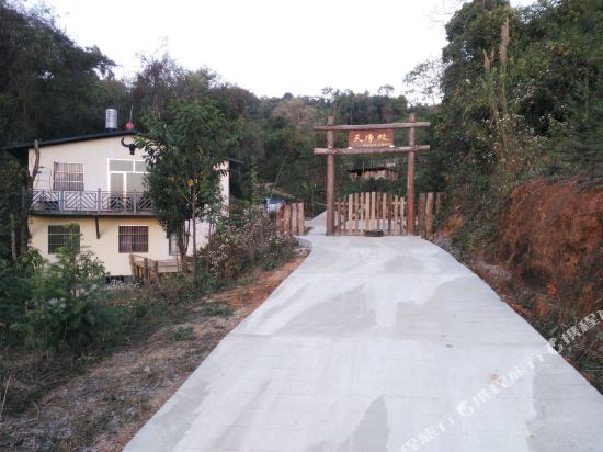 瑞丽天净处森林民宿