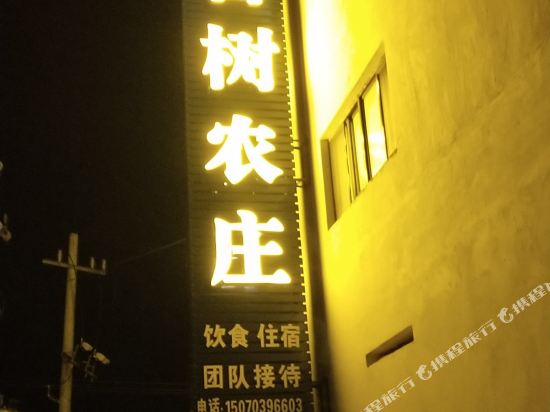 婺源石城古树农庄