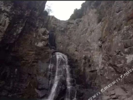 临海桃江十五号