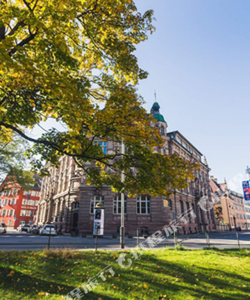 龙酒店酒店图片