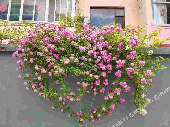 昔阳大寨铁妮妮之家客栈