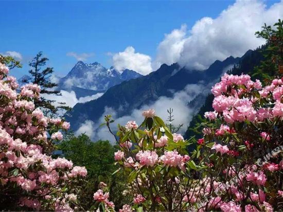 理县嘉绒风情农庄