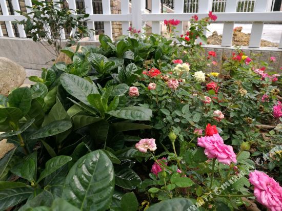 清远和美居3号独栋别墅(文昌路店)