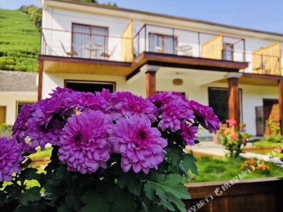 安吉杉笙岚湾民宿