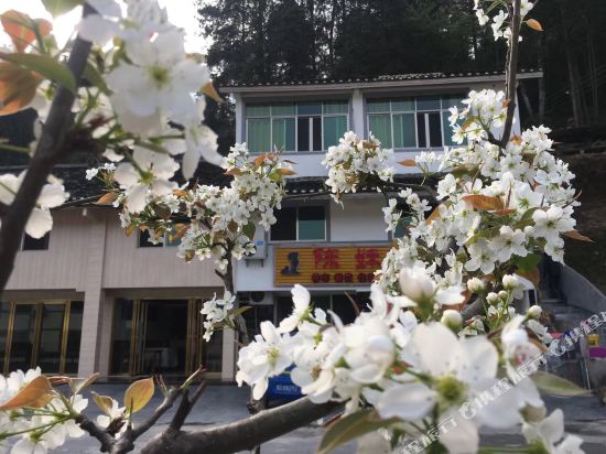 梵净山陈妹宾馆