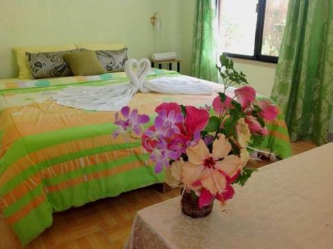 拉埃斯特雷海滩度假村-官方