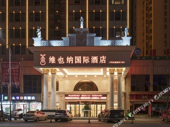 维也纳国际酒店(桃源龙八店)