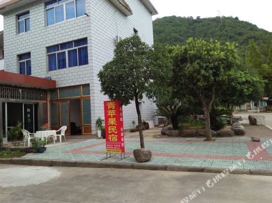 宁海青苹果民宿