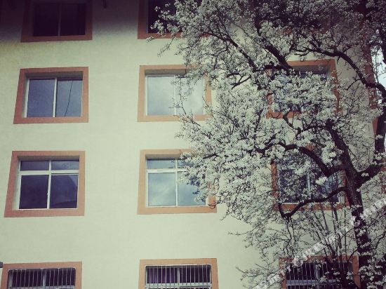 九寨沟悦庭楠舍客栈