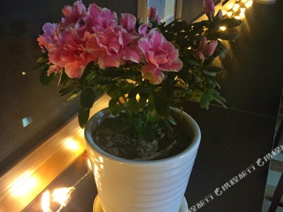 莫奈花园青年旅舍(南昌西站店)