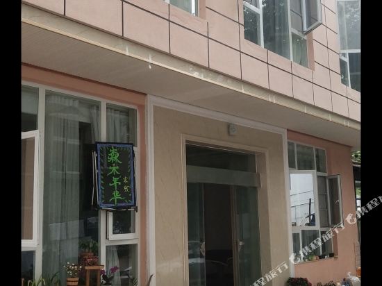 澄江森木年华客栈