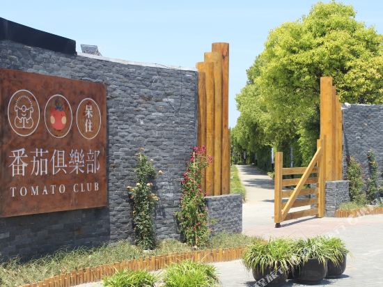 启东呆住·番茄俱乐部