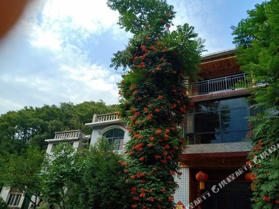 八里沟清凉阁山庄