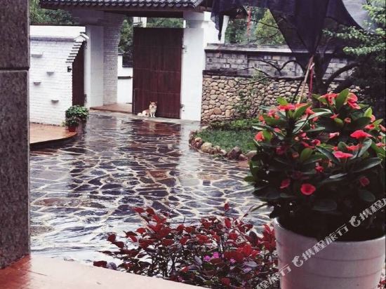 莫干山梧桐守望民宿