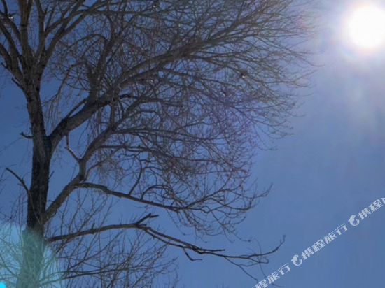 丰宁坝上草原会亚农家院