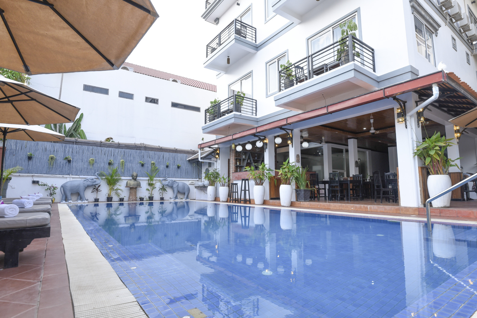 吴哥金兰花-官方