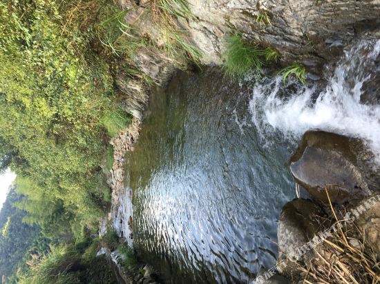 桐庐金瑶农家乐