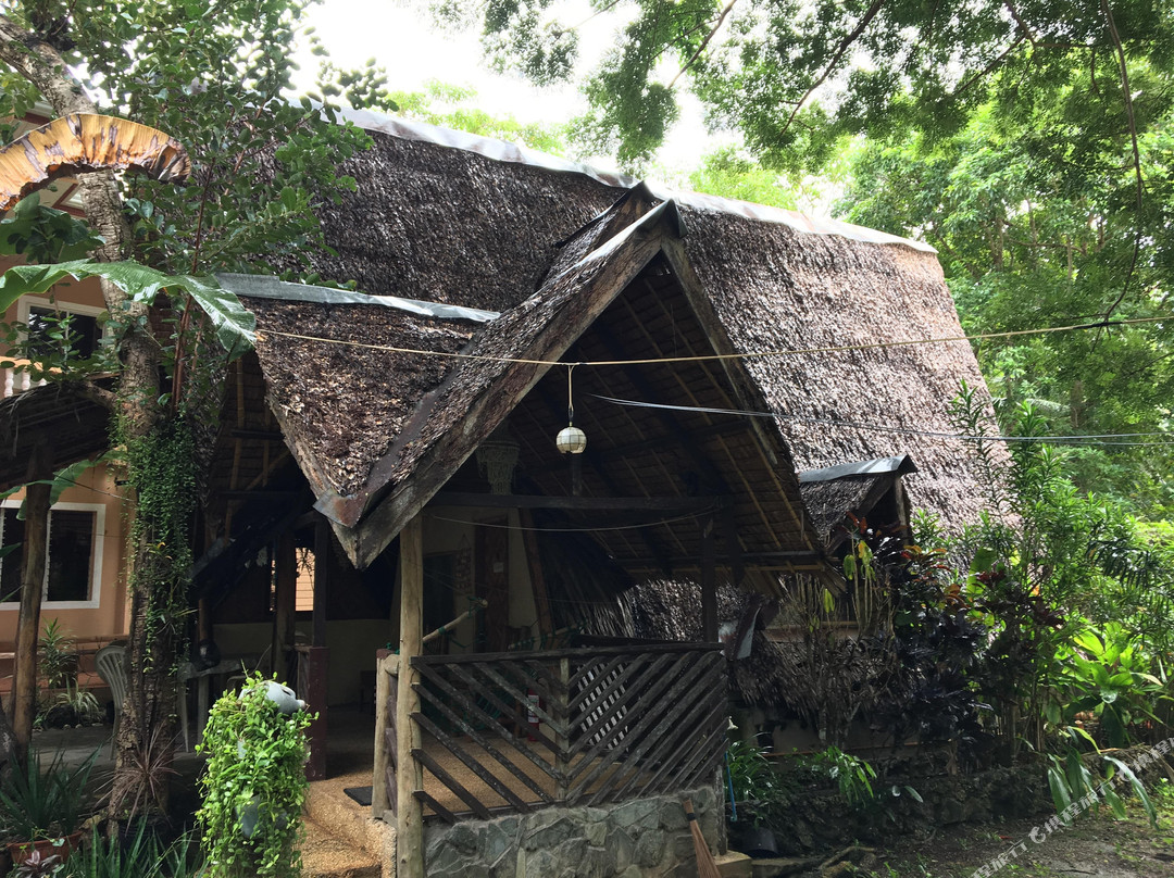 香蕉园小屋