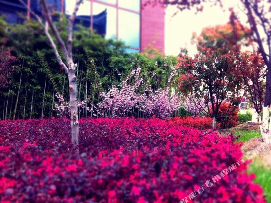 东榕精品酒店(九华山店)