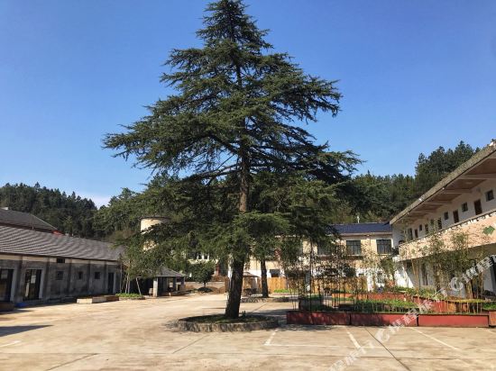 安吉笋厂里民宿