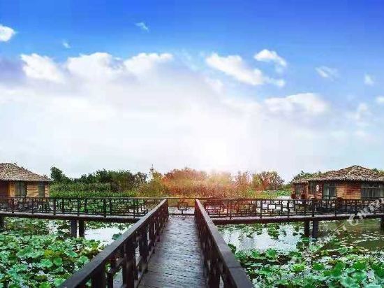 泗洪湿地度假村