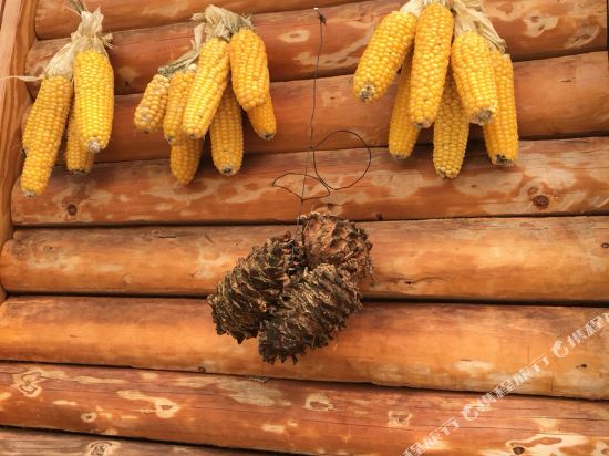 长白山王婶家庭旅馆