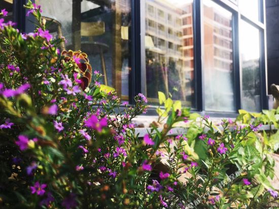 陵水荇草全域精品民宿