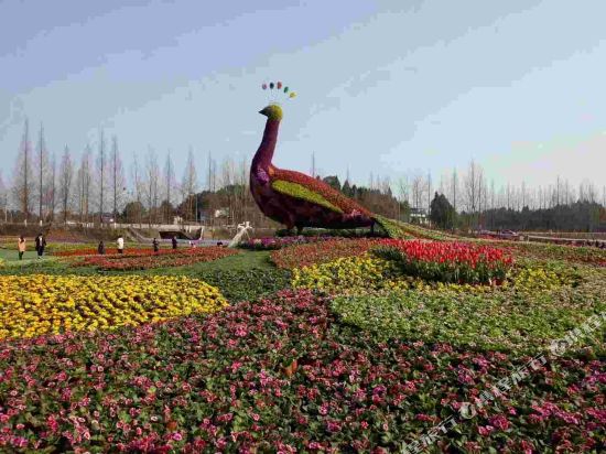 乐至花香休闲度假村