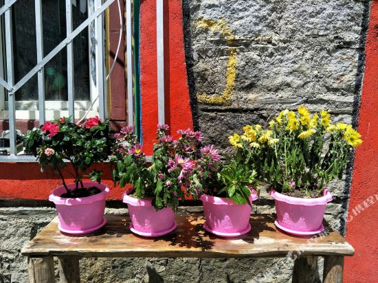 登巴国际连锁客栈(康定塔公店)