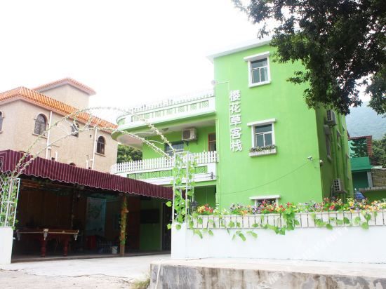 深圳樱花草客栈