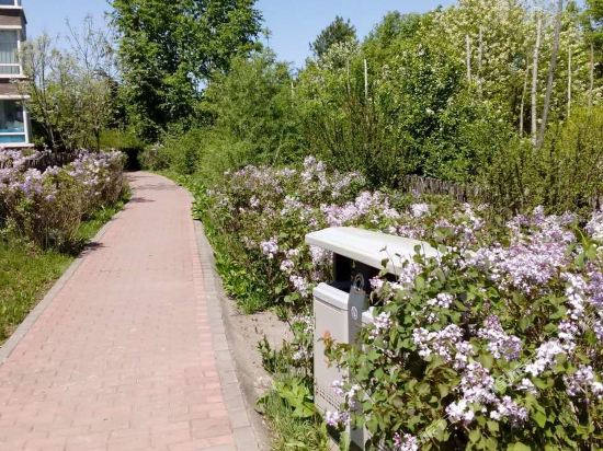 长白山温馨的家普通公寓