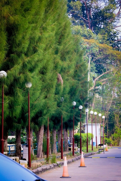 维昂瓦列酒店-官方