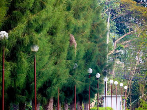 Ban Thai Wat Khot酒店住宿-Wiangwalee Hotel