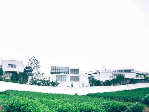 蒲江明月樱园民宿