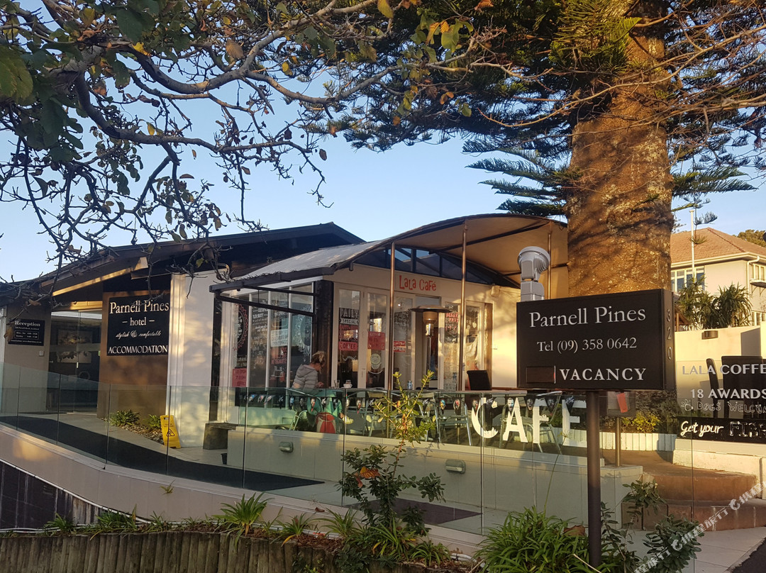 Parnell酒店住宿-帕内尔汽车旅馆