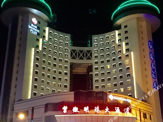 永康紫微明珠大酒店