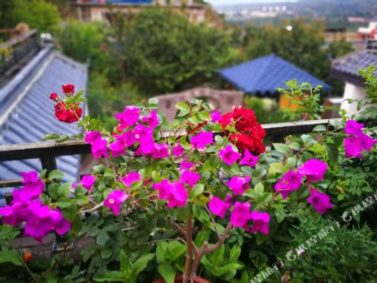 平凉杜鹃田园客栈